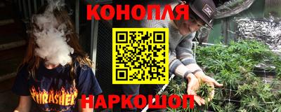 индика Партизанск