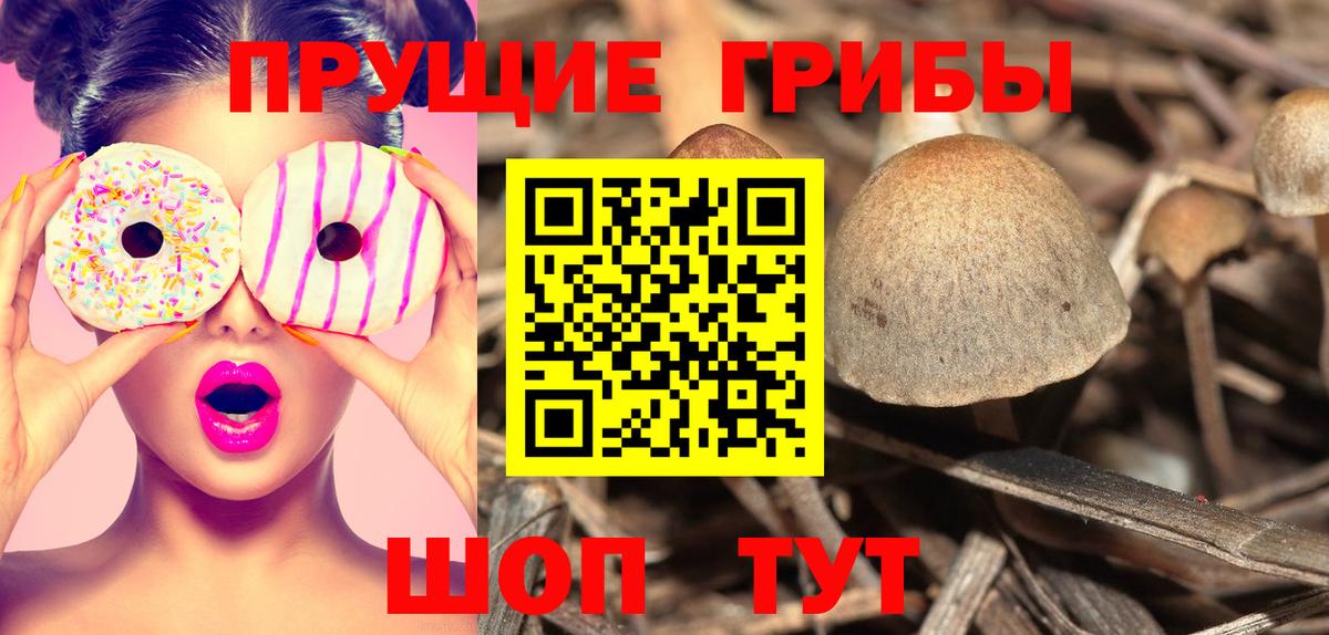Усинск  как найти закладки  Вход с VPN  Псилоцибиновые грибы Cubensis 